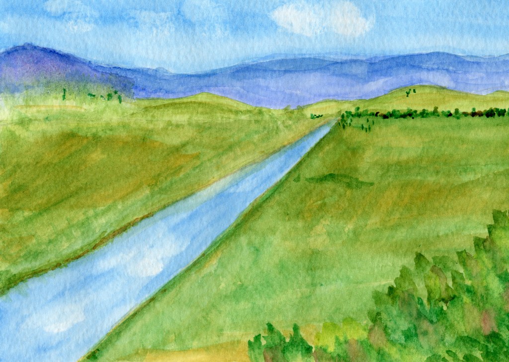 Watercolor Study 20250922
